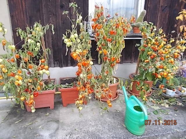 DSCN1312.JPG