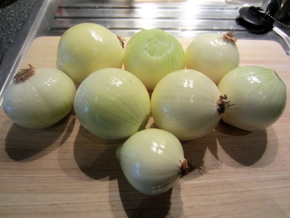 Zwiebeln geschält.JPG