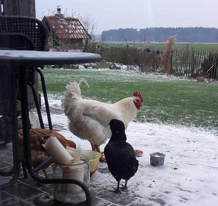 20160104_122505 (1).jpg