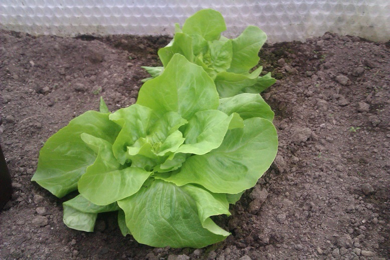 IMAG0056.jpg