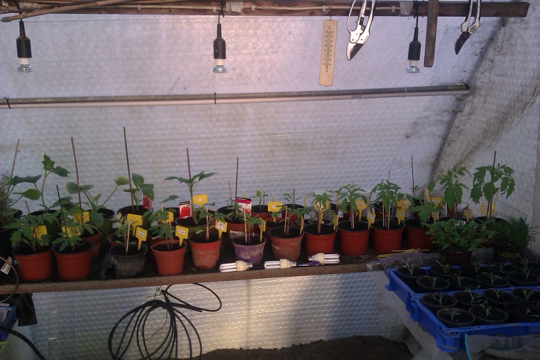 IMAG0064.jpg