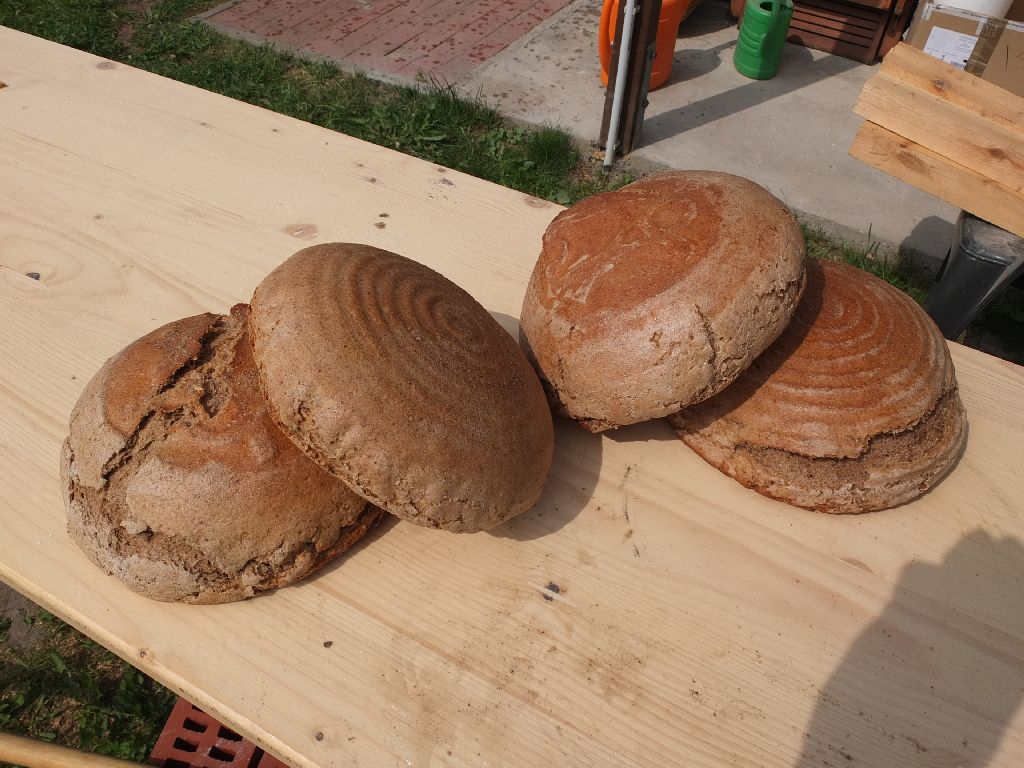 DSCF8063.JPG