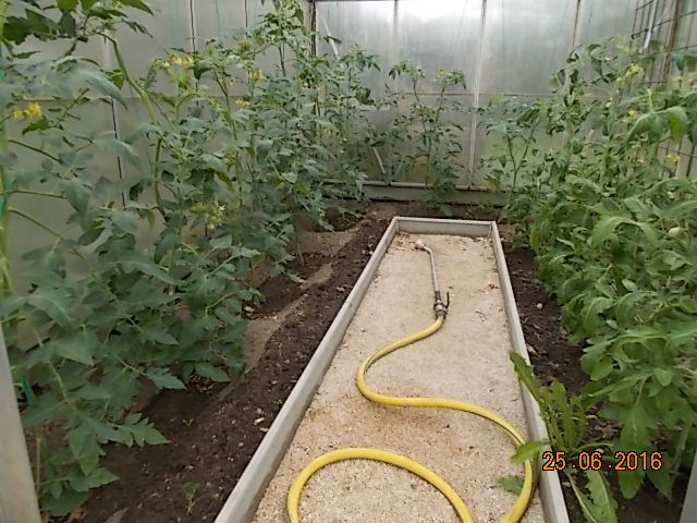 DSCN1604.JPG