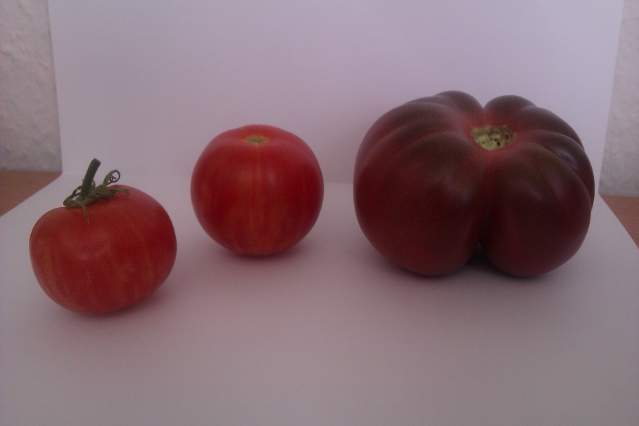IMAG0153.jpg