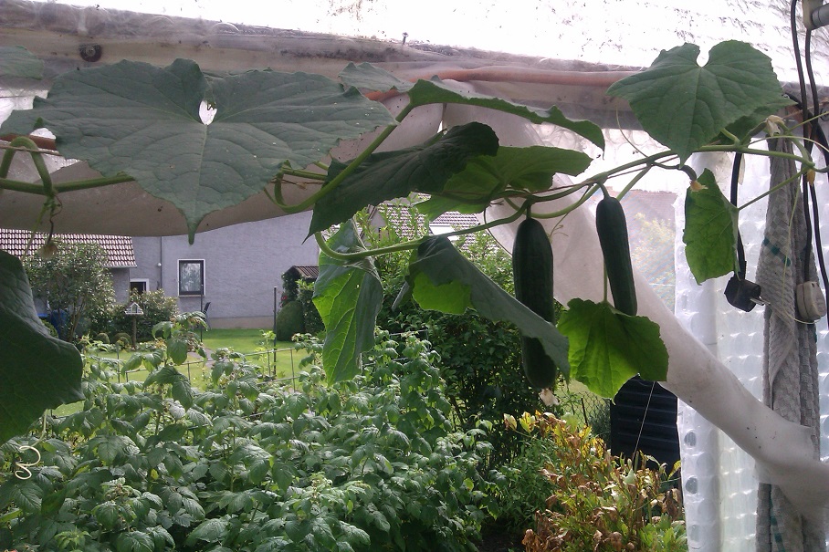 IMAG0277.jpg