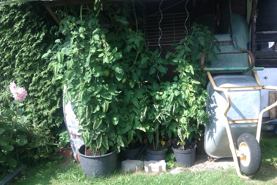 IMAG0278.jpg