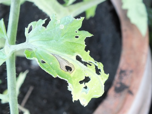 DSCF5334.JPG