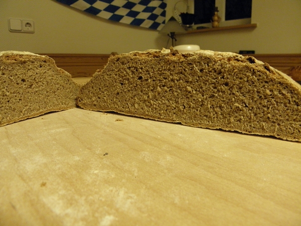Bild 179.jpg