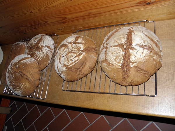 Bild 173.jpg