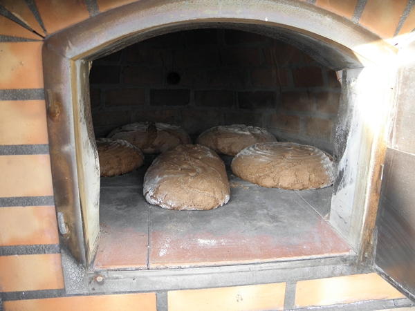 Bild 171.jpg