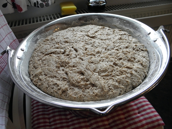 Bild 165.jpg