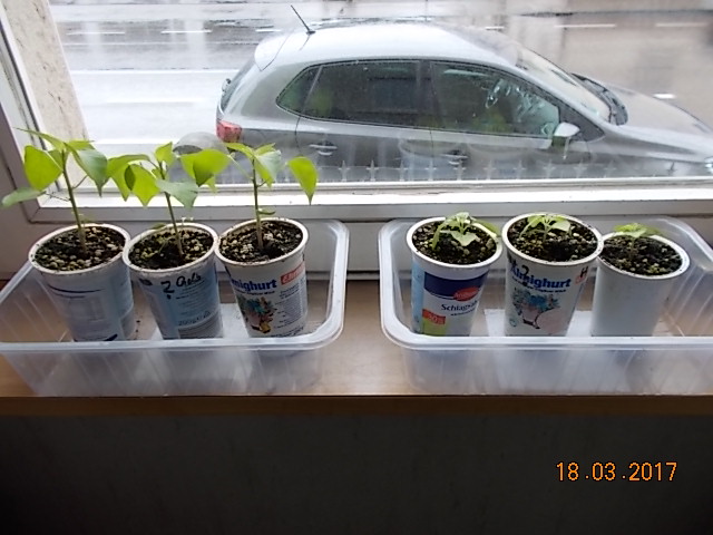 DSCN2127.JPG