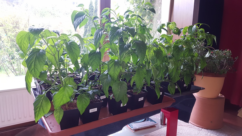 20170422_103000.jpg