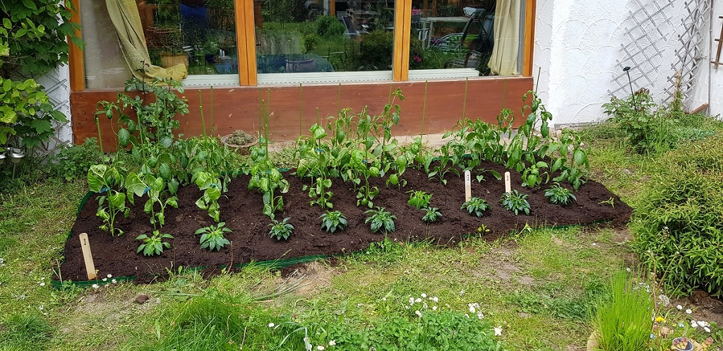 20170514_151656.jpg