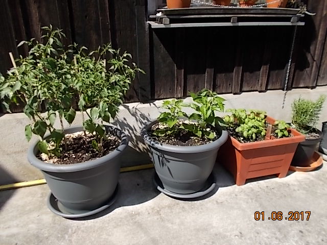 DSCN2275.JPG