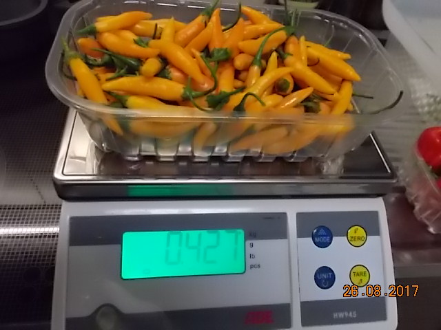 DSCN2501.JPG
