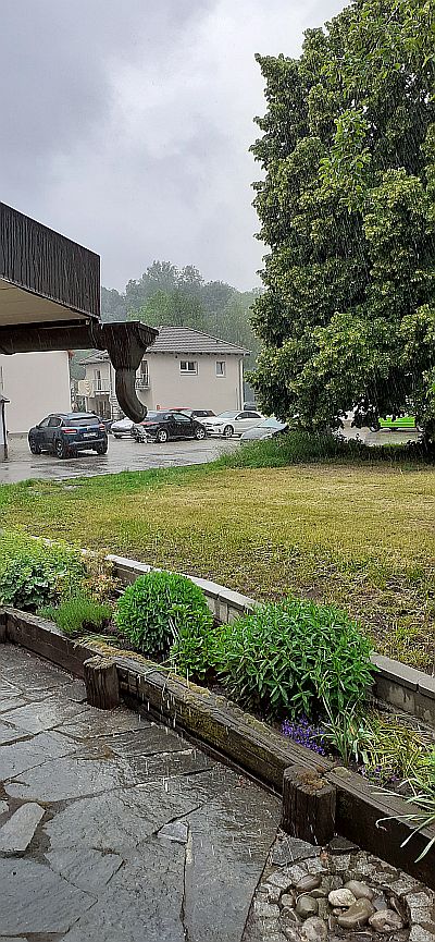 9.BOT Regen.jpg
