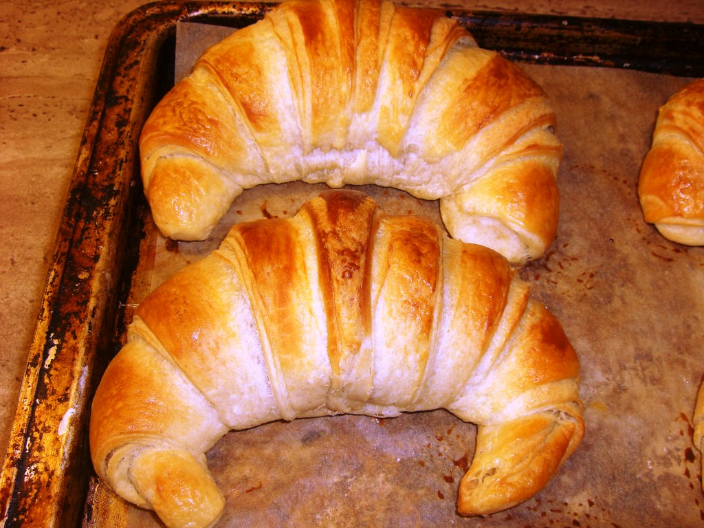 anschn 004.jpg