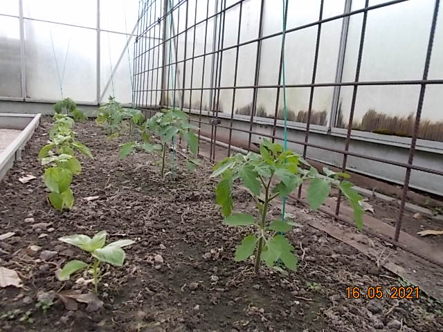DSCN7554.JPG
