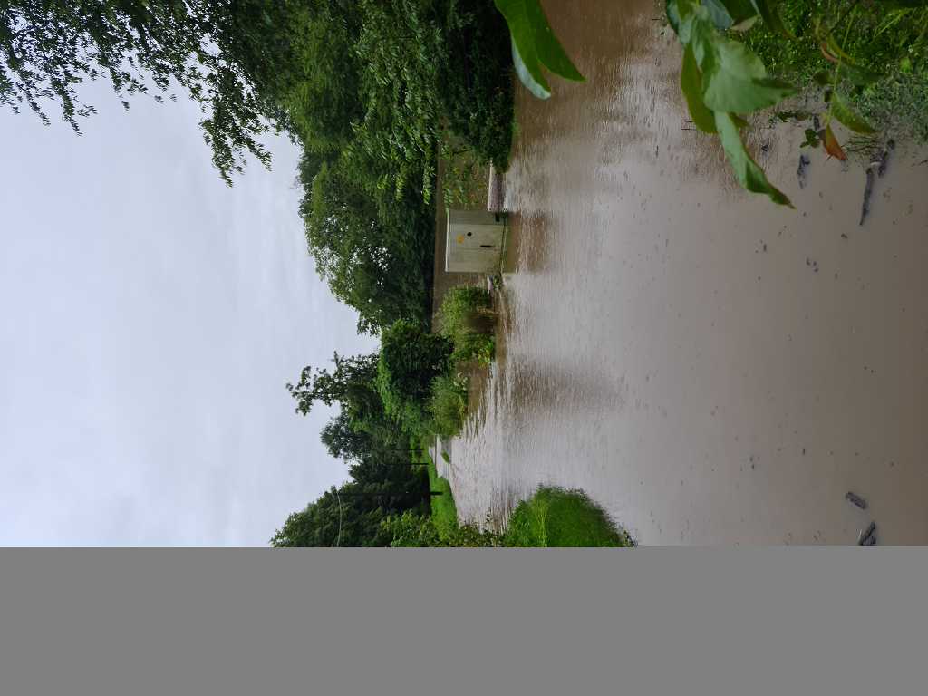 k-20210714_202943.jpg