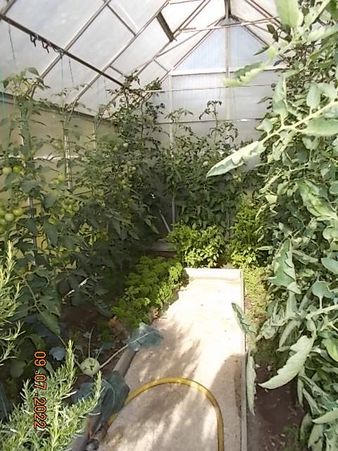 DSCN0337.JPG
