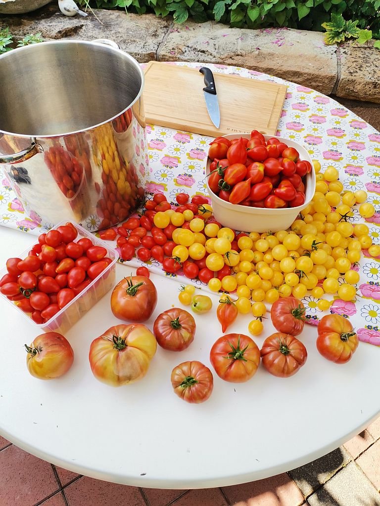 Tomaten_2022_72.jpg