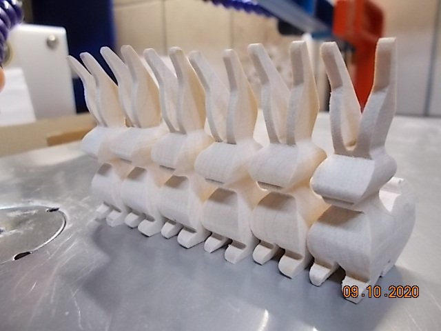 DSCN5787.JPG