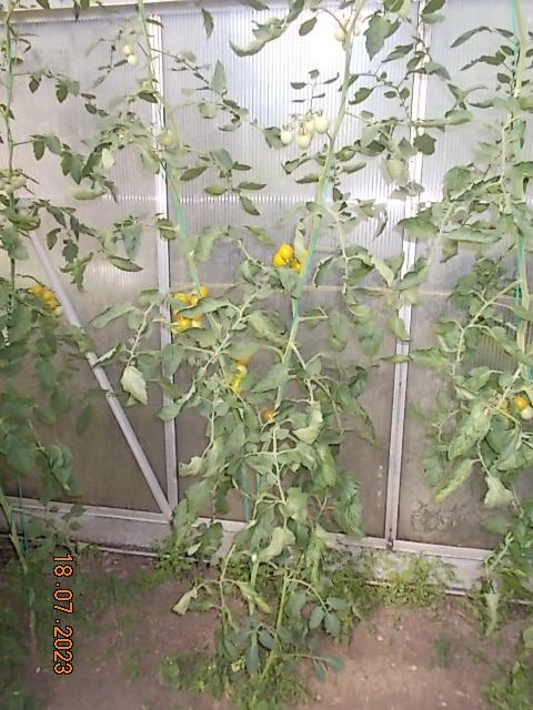 DSCN1615.JPG