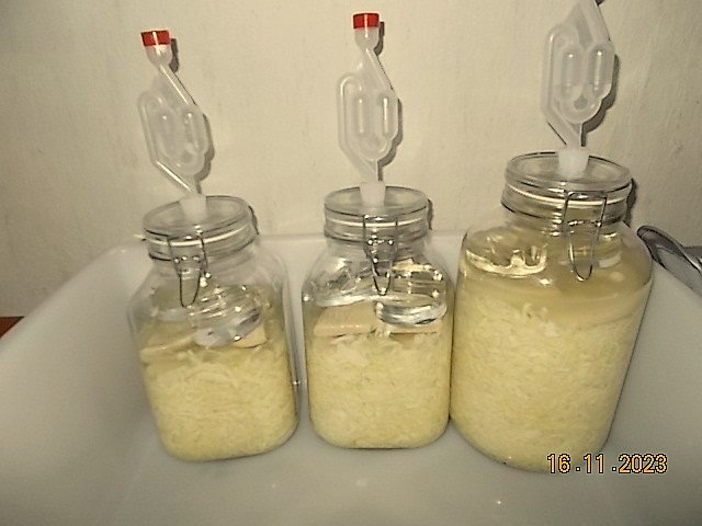 DSCN1999.JPG