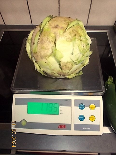 DSCN2793.JPG
