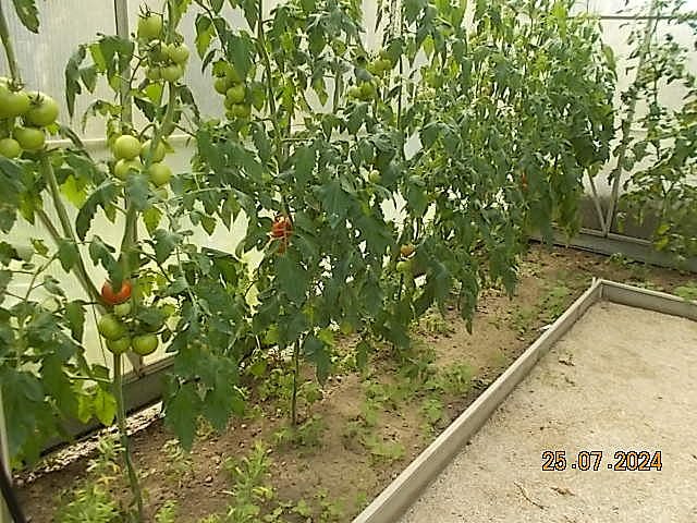 DSCN2834.JPG