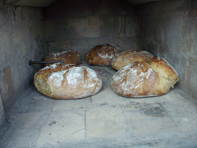 DSCI0971.JPG