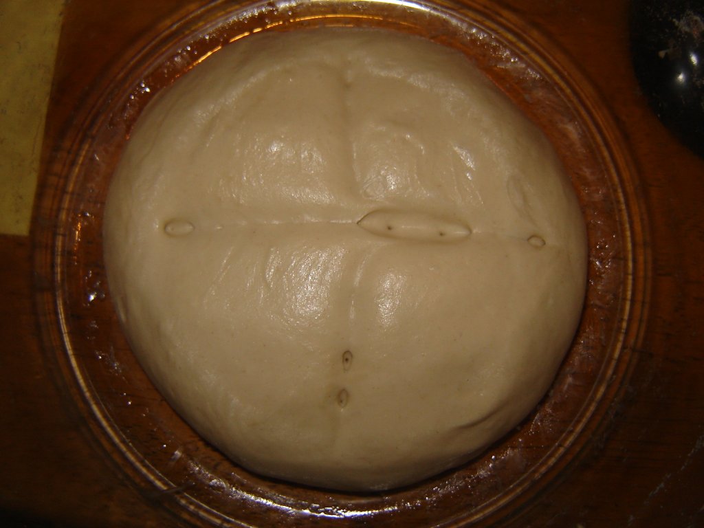 LievitoMadre13.jpg