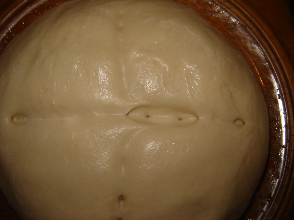 LievitoMadre14.jpg