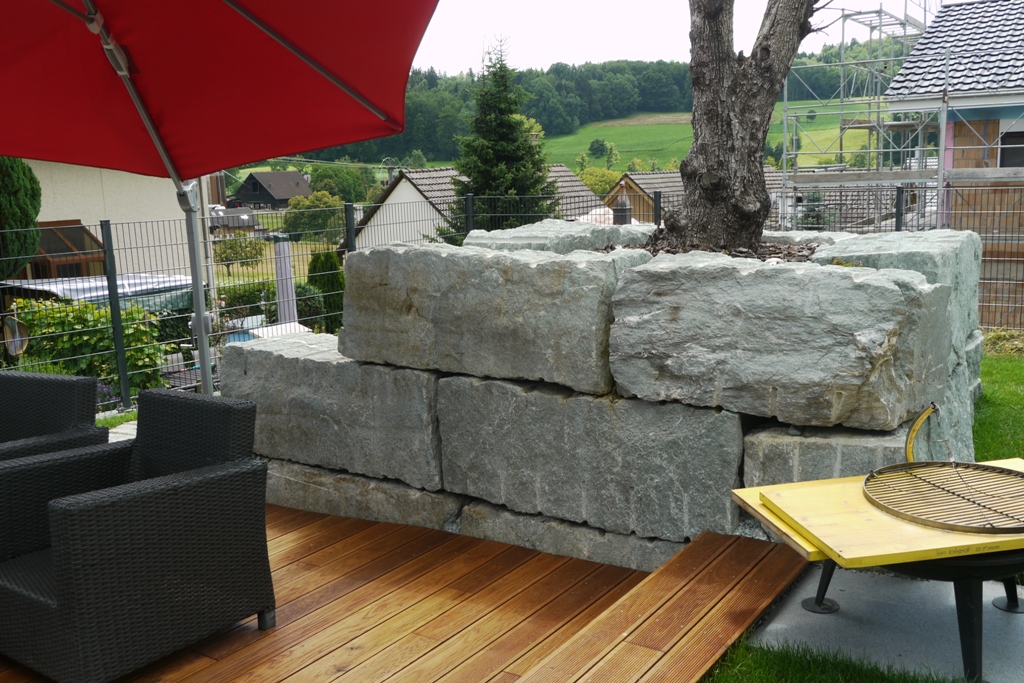 Standort mit totem Olivenbaum