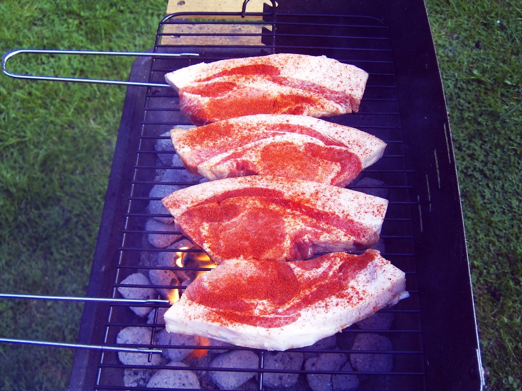Fleisch nur mit etwas süssem paprika<br />auf den "flachgrill"
