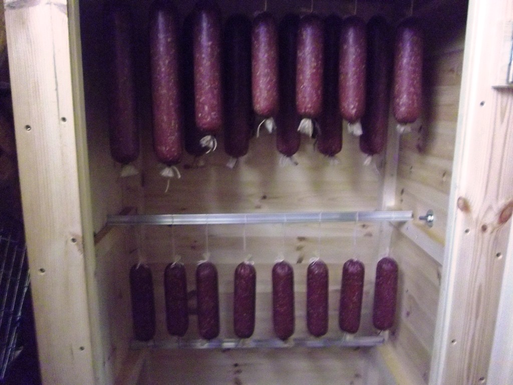 IMGP0701.JPG