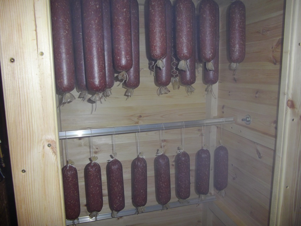 IMGP0704.JPG